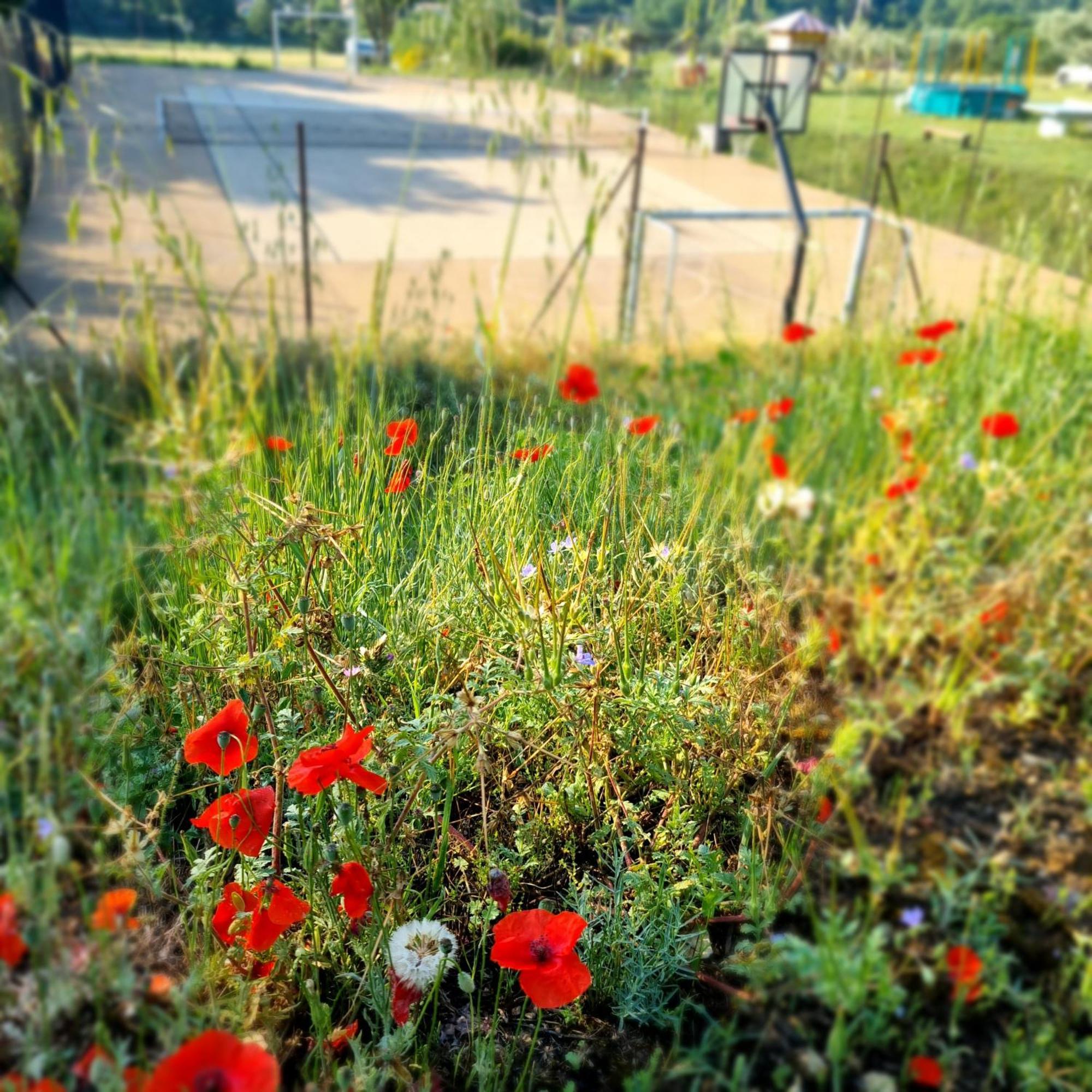 L'Oustaou Du Luberon Et Spa Villelaure Buitenkant foto