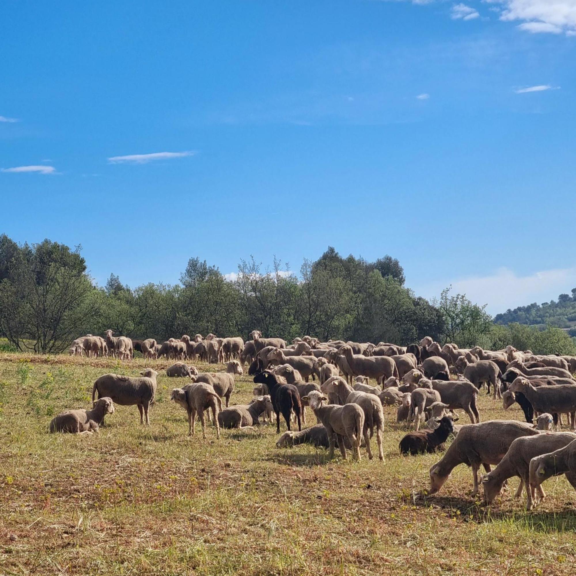 L'Oustaou Du Luberon Et Spa Villelaure Buitenkant foto