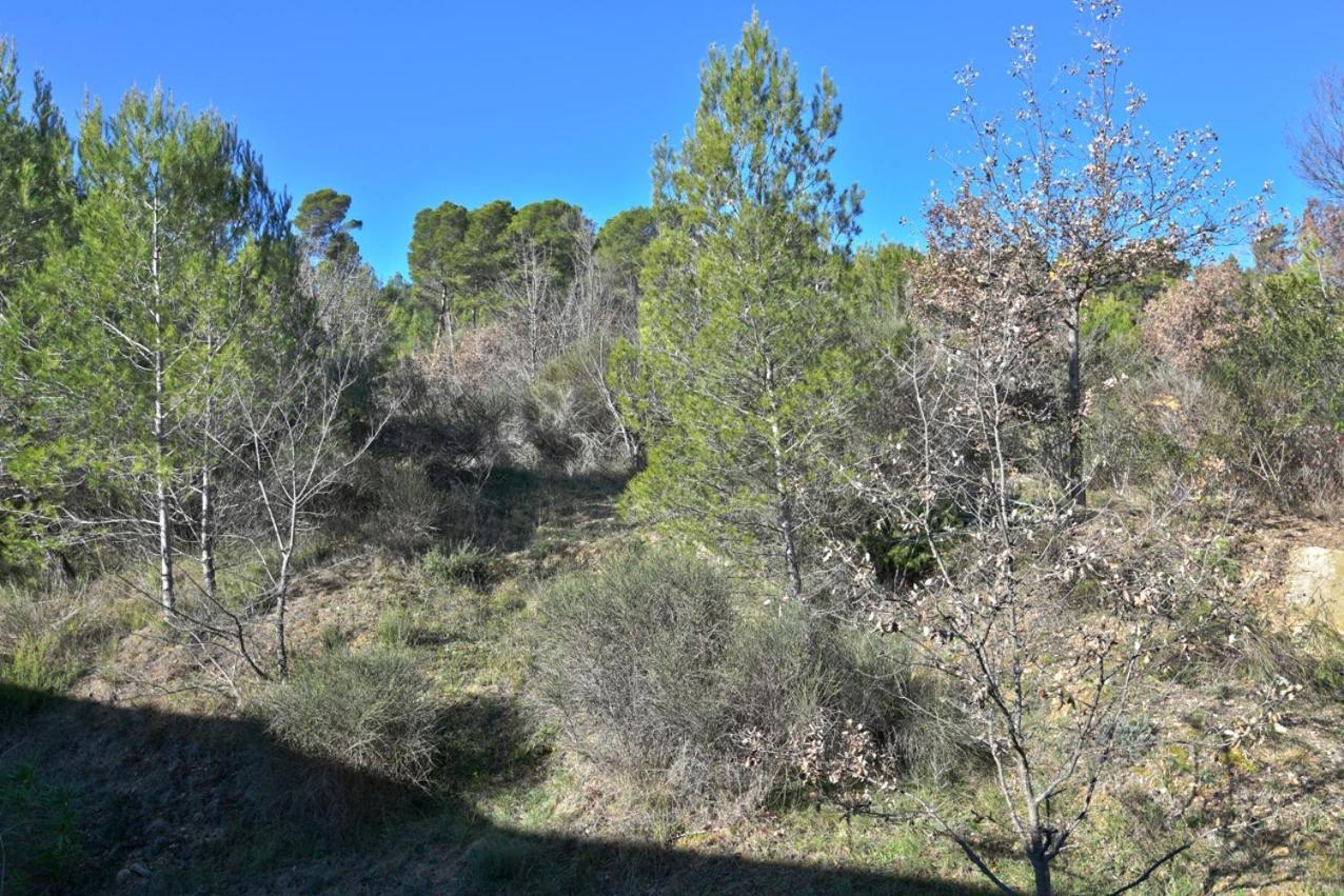 L'Oustaou Du Luberon Et Spa Villelaure Buitenkant foto