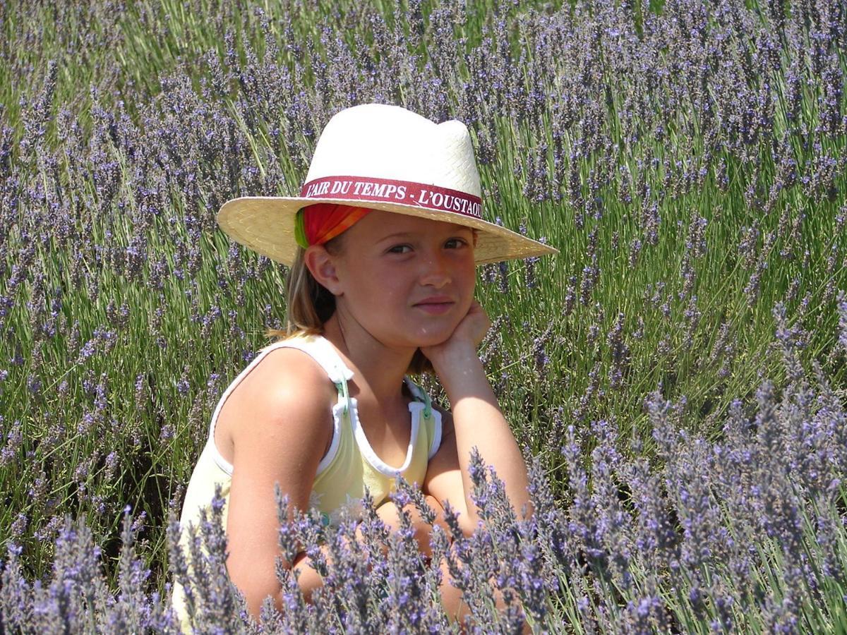 L'Oustaou Du Luberon Et Spa Villelaure Buitenkant foto