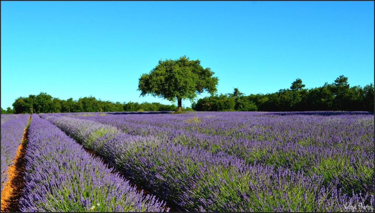 L'Oustaou Du Luberon Et Spa Villelaure Buitenkant foto